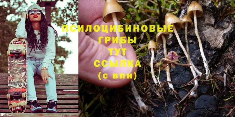 Псилоцибиновые грибы MAGIC MUSHROOMS  Октябрьский 